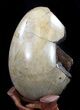 Septarian Dragon Egg Geode - Crystal Filled #37448-3